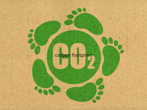 freecompress-carbon-footprint-300x225.png